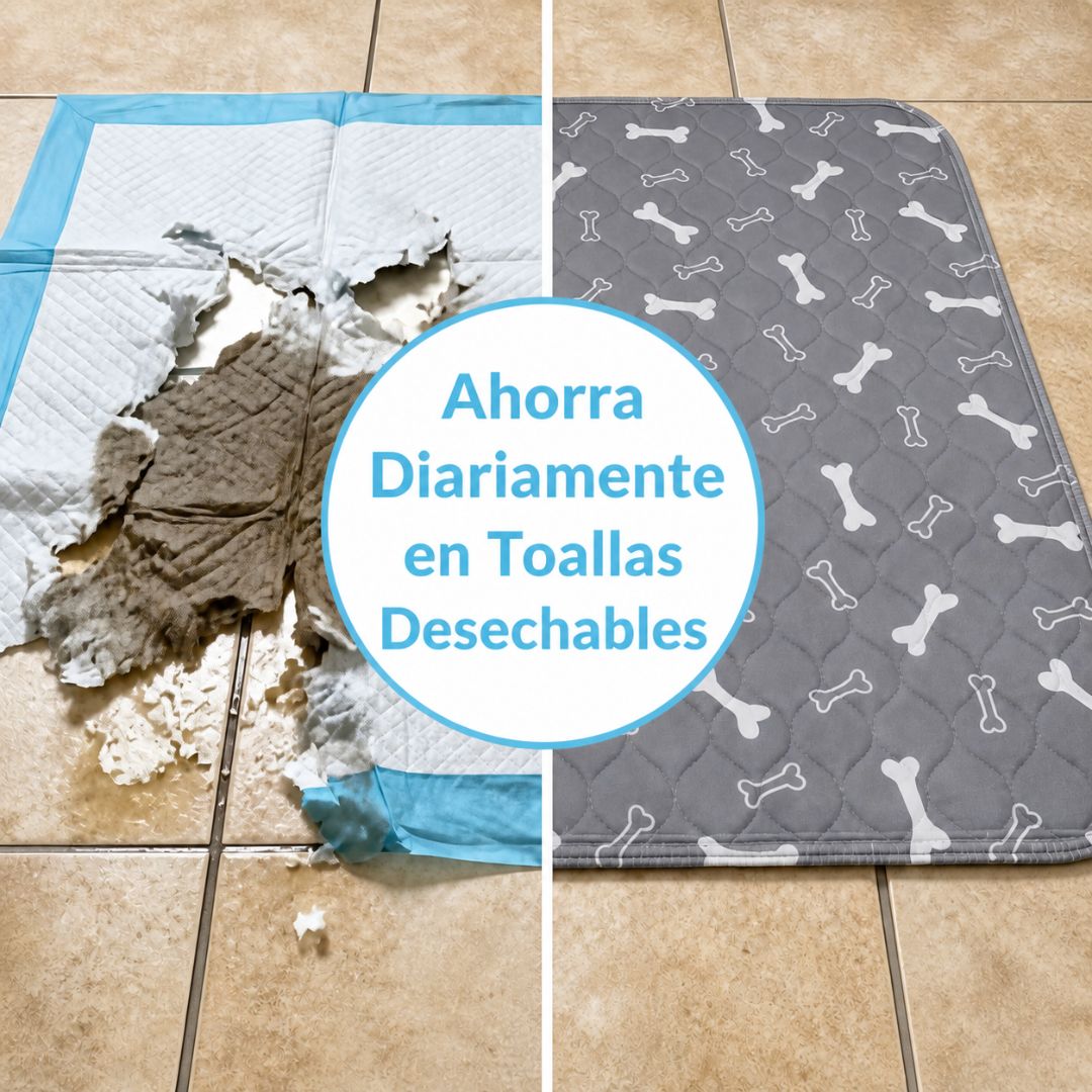 PupAlls™ Almohadilla Entrenadora Lavable