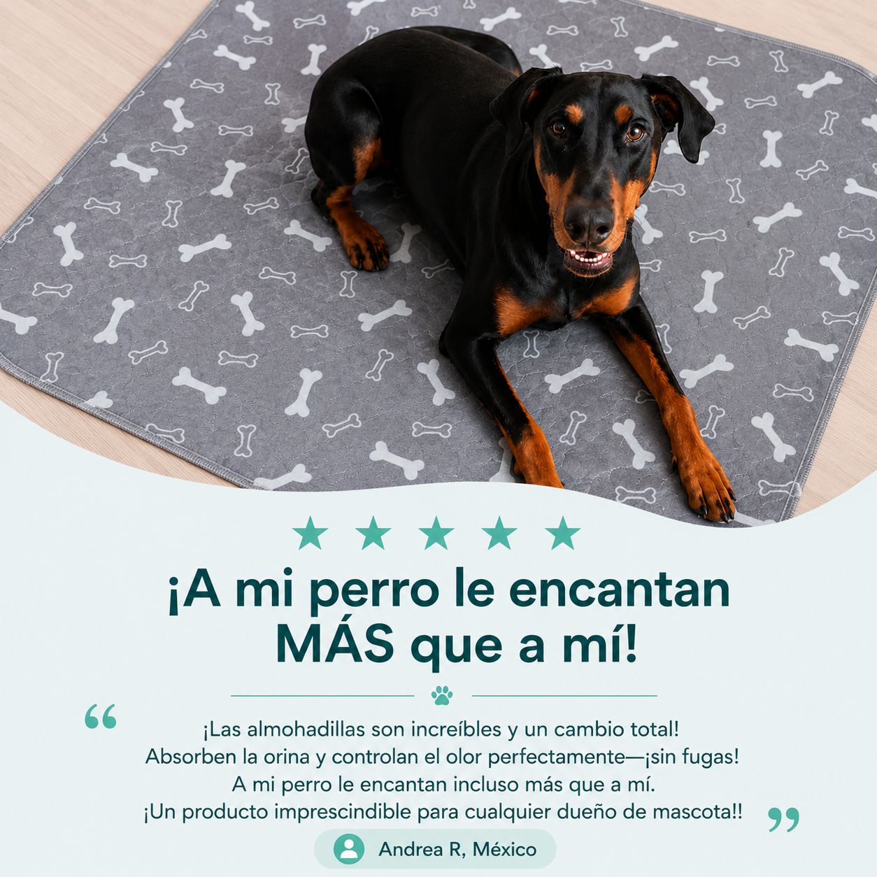 PupAlls™ Almohadilla Entrenadora Lavable